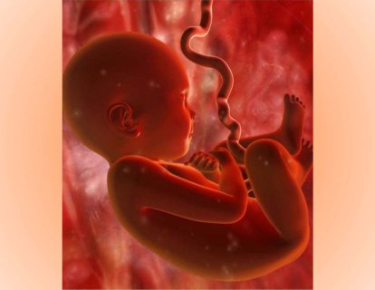 Fetal İzleme 1957 – Anne Karnındaki Bebeğin Tıbbi Takibi