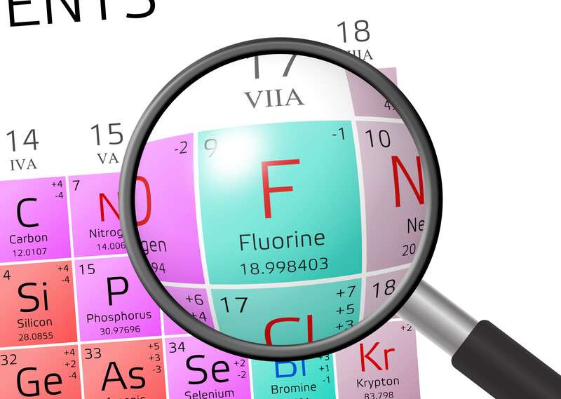 flor f 577041