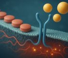 Gefitinib (Iressa) Nedir? FDA Onayı, Türkiye Ruhsatı ve Geri Ödeme Durumu