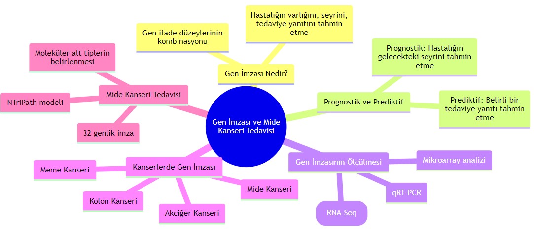 gen imzasi ve mide kanser tedavi yaniti tahmin etme zihin haritasi diyagrami 428153