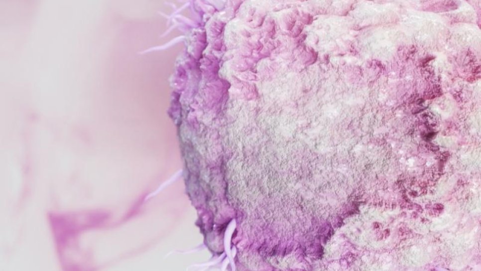 Doi iepuri dintr-un foc în cancer, cu un virus herpes modificat genetic