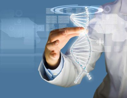 Genomun Bekçisi p53'ü Yöneten Yeni Bir Hücresel Yolak Keşfedildi