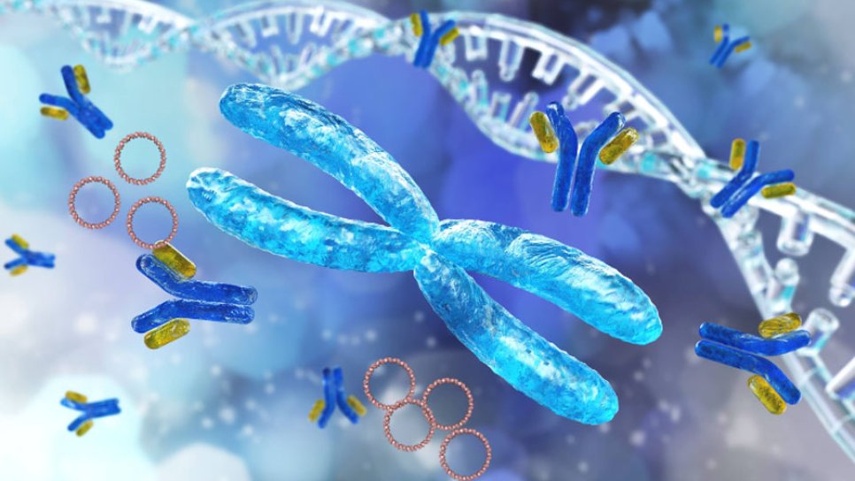 Gizli Ajan Gibi Çalışan Ekstra-kromozomal DNA Keşfiyle Kanser Tedavisinde Ufuklar Açıldı