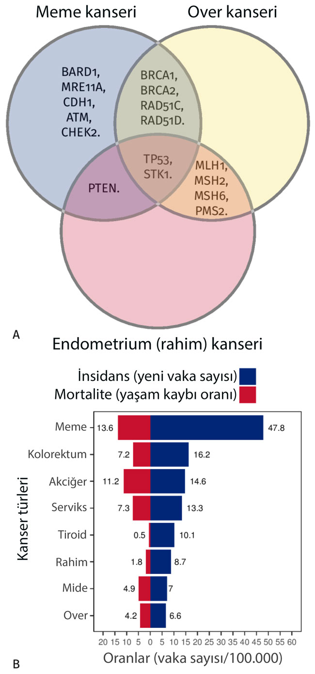 imaginea are două părți care prezintă mutațiile genetice asociate cancerului mamar ovarian și endometrial și compară incidența acestor cancere cu ratele de deces