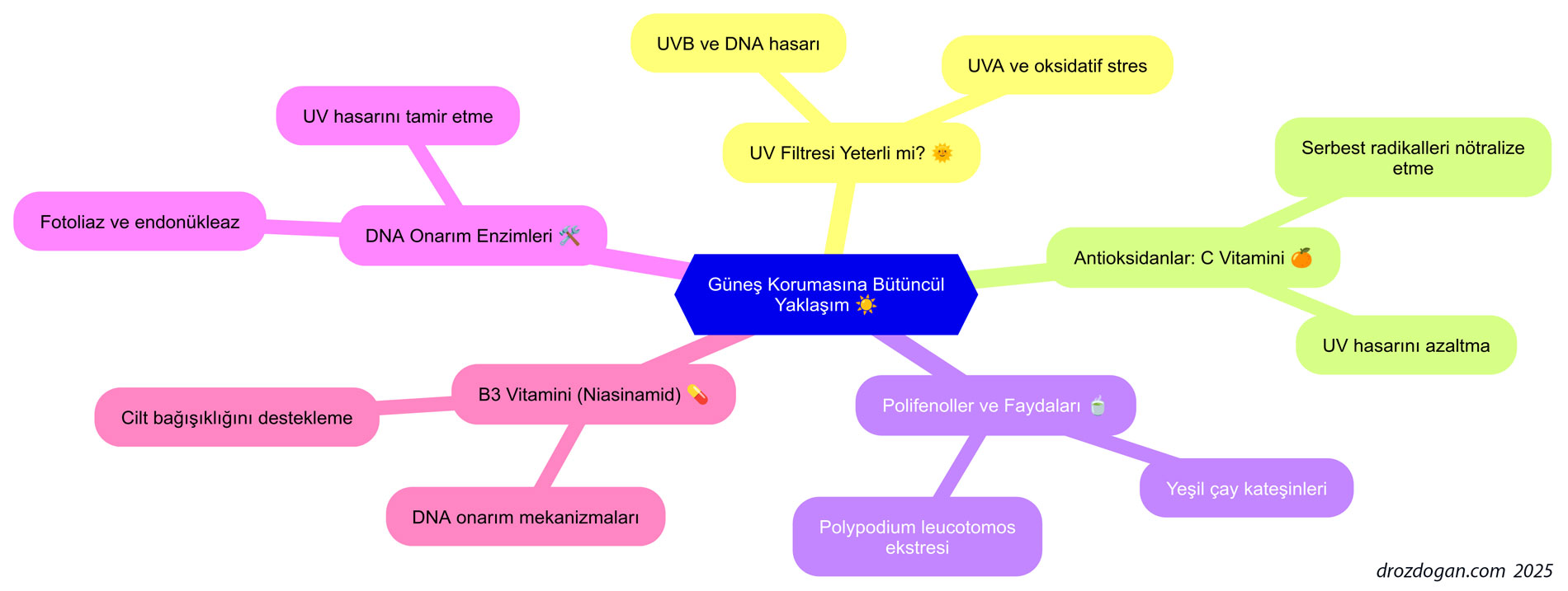 Umfassender Sonnenschutz: Antioxidantien, Vitamin B3, DNA-Reparaturenzyme, Polyphenole und UV-Filter