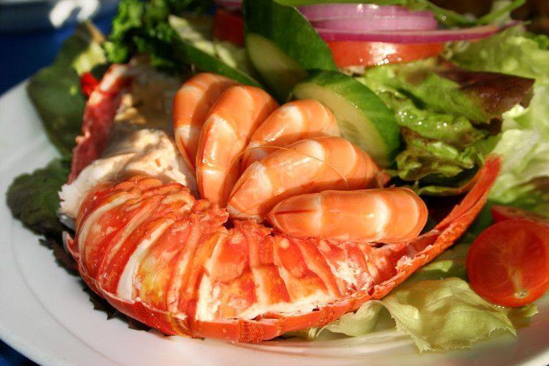 guney sahili diyeti south beach diet 42228