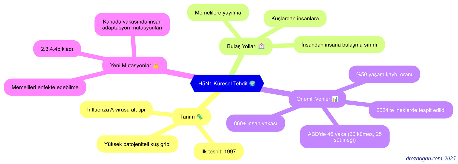 h5n1 kus gribi salgina donusur mu kuresel tehdit olarak ele alindigi zihin haritasi 484768
