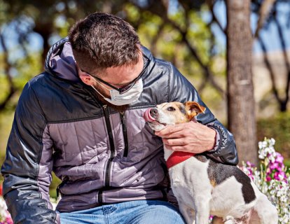 Halen Köpeğimi Gezdirebilir Miyim? Ve Koronavirüs Hakkında Diğer Aklımızı Kurcalayanlar