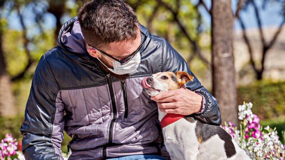 Halen Köpeğimi Gezdirebilir Miyim? Ve Koronavirüs Hakkında Diğer Aklımızı Kurcalayanlar