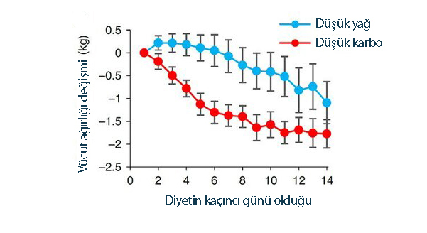 hangi diyetle ne kadar zayiflanir dusuk yagli mi yoksa ketojenik 320058
