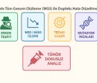 Hata Düzeltmeli Tüm Genom Dizileme ile Kanda Milyonda 1 Düzeyindeki Tümör DNA Tespiti