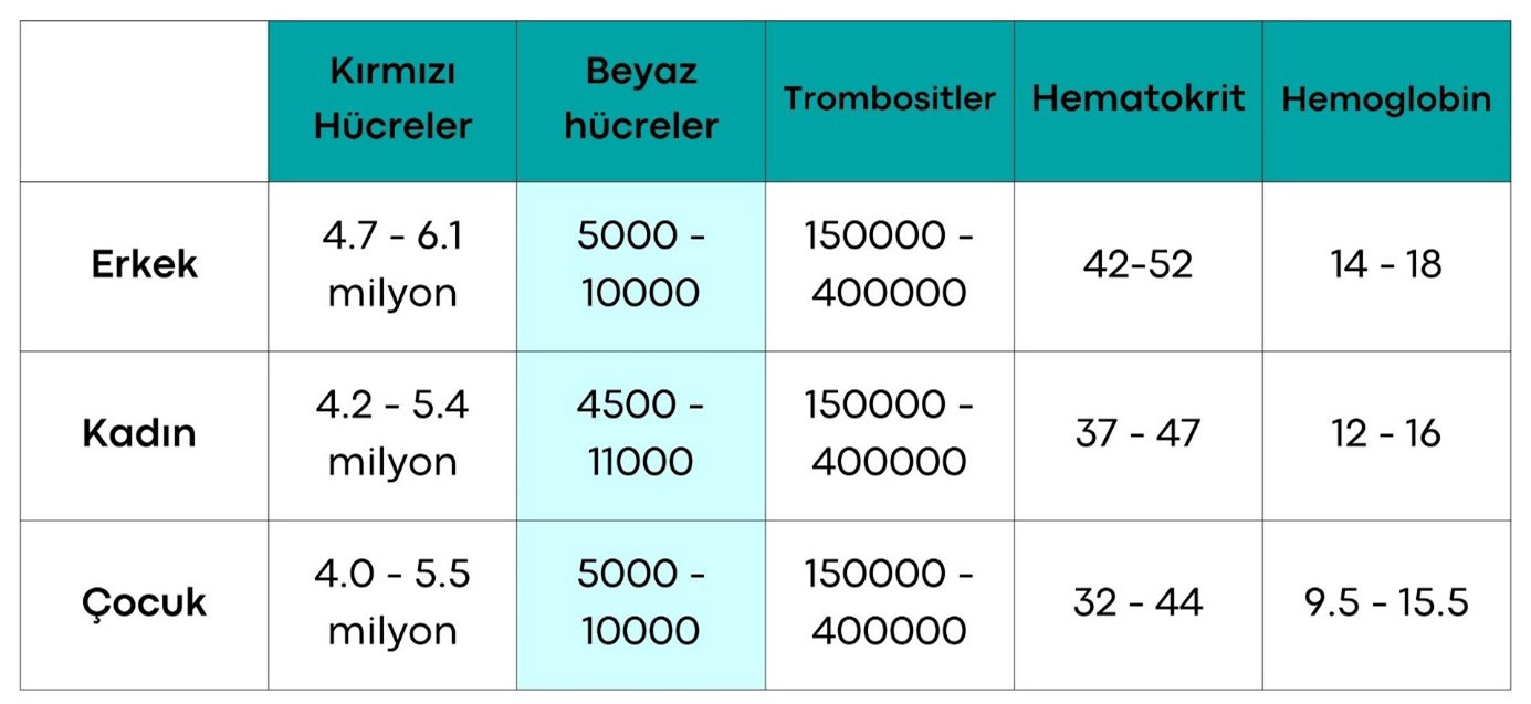 hemogram testinde normal degerler hemoglobin wbc beyaz kanser hucre sayisi trombosit 503769