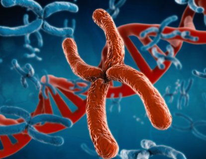Her Kanser Hastası için Kapsamlı Genomik Test – NGS Analizi Gerekli mi?