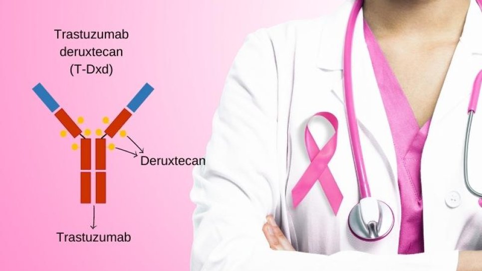 FDA-Zulassung für Trastuzumab Deruxtecan (Enhertu) bei HER2-armem Brustkrebs