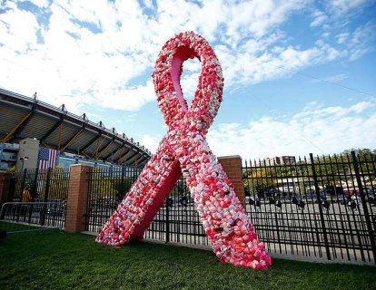 HER2-Poizitif Meme Kanseri Tedavisi İçin Deri-Altı Herceptin FDA Onayı Aldı