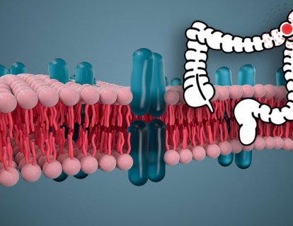 HER2 pozitif kolon kanseri nedir? Nasıl tedavi edilir?