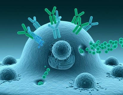 HER2 Pozitif Metastatik Meme Kanserinde İdame Tedavi: HER2CLIMB-05