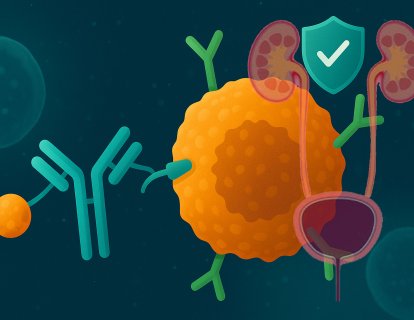 HER2-pozitif Ürotelyal Kanserde Disitamab ve Toripalimab ile Yaşam Süresi İkiye Katlandı