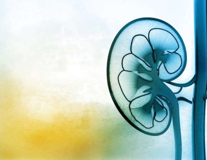 Böbrek Kanseri İçin 2019 Nobel Ödülü'nden Esinlenen Yeni Bir İlaç Heyecan Yarattı: HIF2A İhibitörü