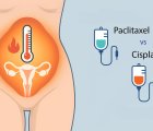 HIPEC in Ovarian Cancer: Paclitaxel or Cisplatin for Heated Intraperitoneal Chemotherapy?