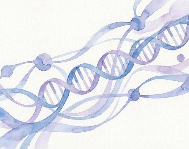Hormon Tedavisini Güçlendirmek Mümkün mü? Letrozol Artı Progestin