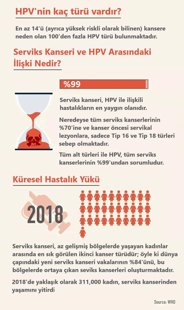 hpv hakkinda bilmeniz gereken her sey hpv turleri 978585