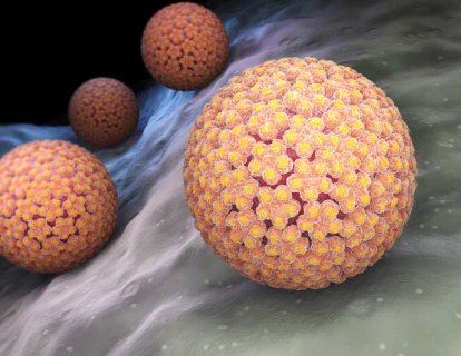 HPV – Kanser yapıcı bir virüsün bağışıklık sisteminden kaçma serüveni
