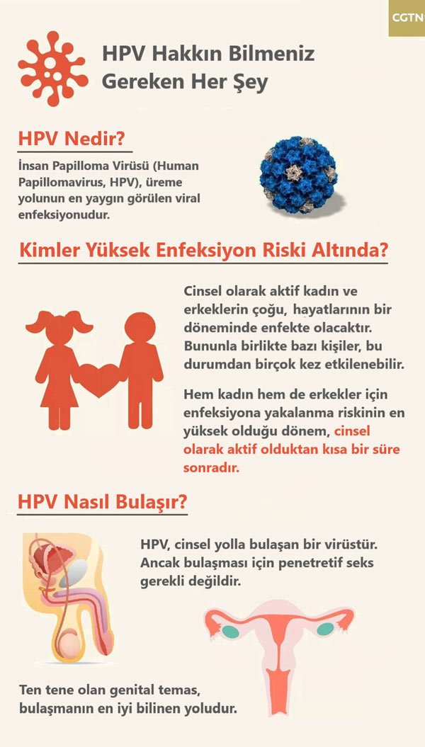 hpv nasil bulasir kimler risk altinda 504433