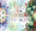 HPV Pozitif Baş-Boyun Kanserinde Hedefli İmmünoterapi + Pembrolizumab