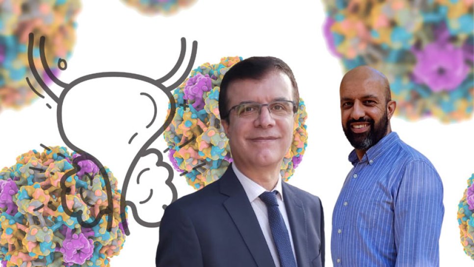 HPV ve Prostat Kanseri – Bilinmeyen Bağlantının Peşindeki Bilim İnsanları