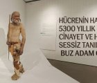Hücrenin Hafızası, 5300 Yıllık Bir Cinayet ve HPV’nin Sessiz Tanıklığı: Buz Adam Ötzi