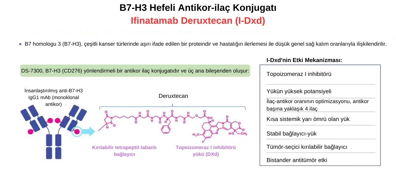 ifinatamab deruxtecan i dxd b7 h3 hedefli antikor ilac konjugati nedir 854470