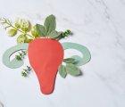 Endometrium (Rahim) Kanseri Birinci Basamak Tedavisinde İmmünoterapi Fark Yarattı