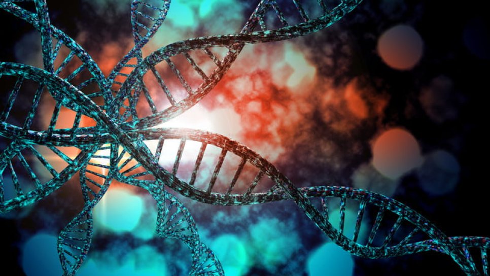 İleri evre kanser tedavisinde yeni bir hedef: DNA tamir mekanizması