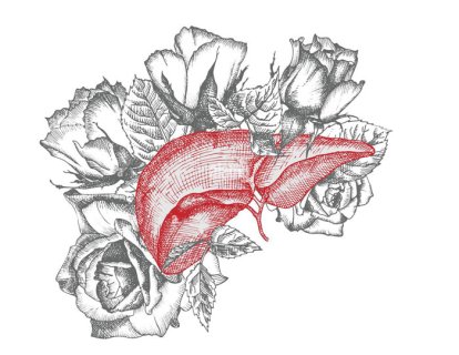 İleri Evre Karaciğer Kanseri Tedavisinde Hepatik Arterden Kemoterapi, Sorafenibe Karşı