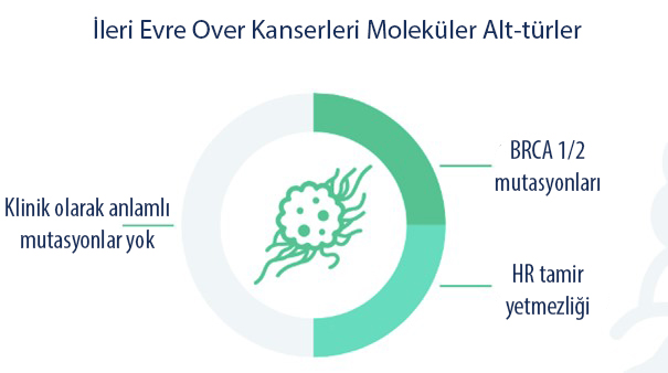 Formen von fortgeschrittenem Eierstockkrebs