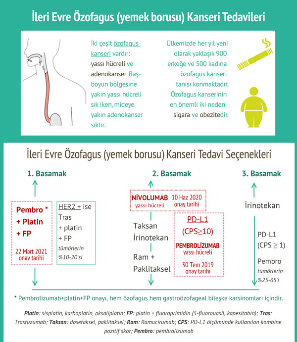 ileri evre ozofagus yemek borusu kanser tedavileri 1 461633