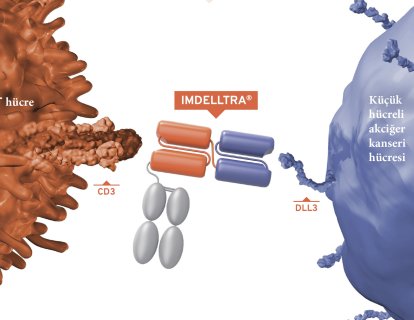 IMDELLTRA (tarlatamab) Hazırlama ve Uygulama Kılavuzu: Adım Adım Rehber
