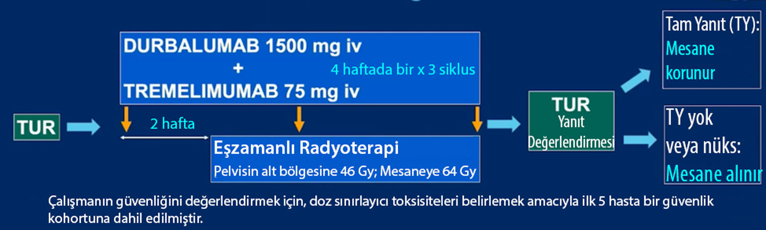 IMMUNOPRESERVE araşdırmasının dizaynı, sidik kisəsini qoruyan immunoterapiya və radioterapiya