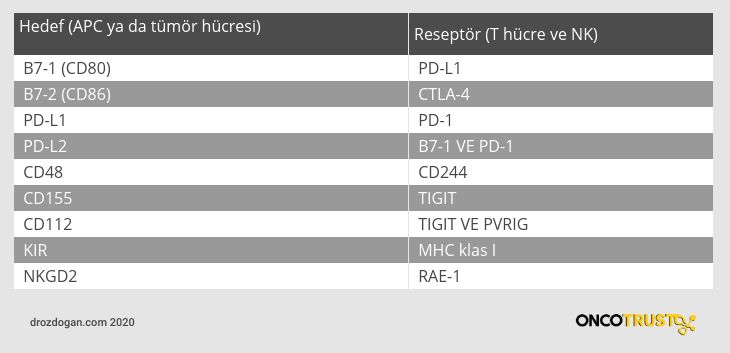 immunoterapi hedefleri kontrol noktalari 77332