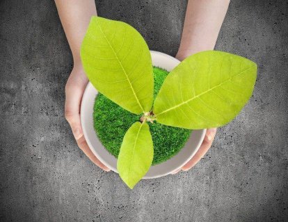 İmmünoterapi ilaçlarının kalın bağırsak (kolon ve rektum) kanserleri tedavisinde yeri nedir?