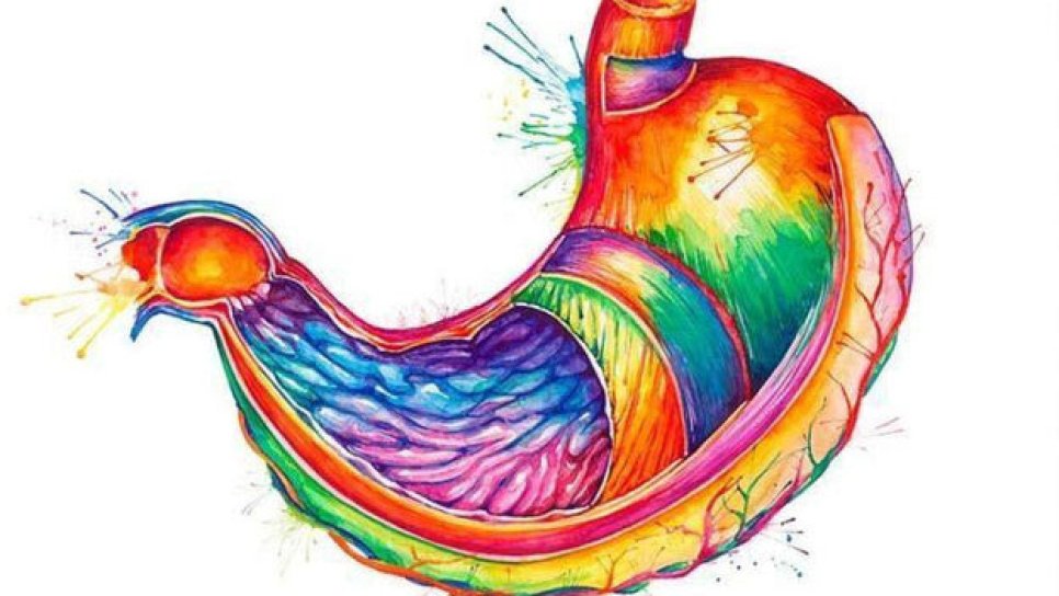 Can Immunotherapy Replace Surgery for Stomach Cancer?