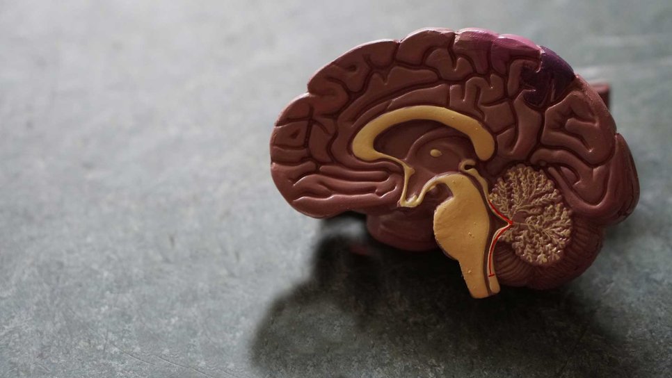 Analyse der Zerebrospinalflüssigkeit zur Vorhersage des Ansprechens auf Immuntherapie