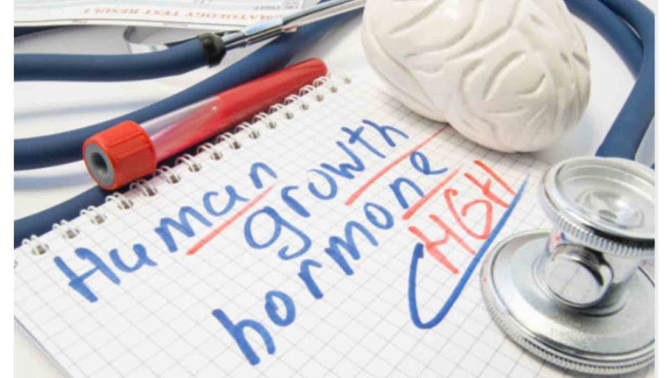 İnsan Büyüme Hormonu 1921 – Keşfi ve Beraberinde Gelen Tartışmalar
