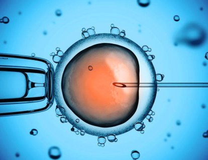 CRISPR İnsan Embriyosunu Düzenlemek İçin Kullanılmaya Başlandı