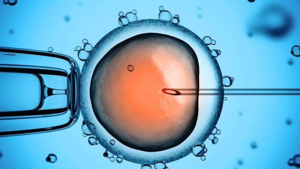 CRISPR İnsan Embriyosunu Düzenlemek İçin Kullanılmaya Başlandı