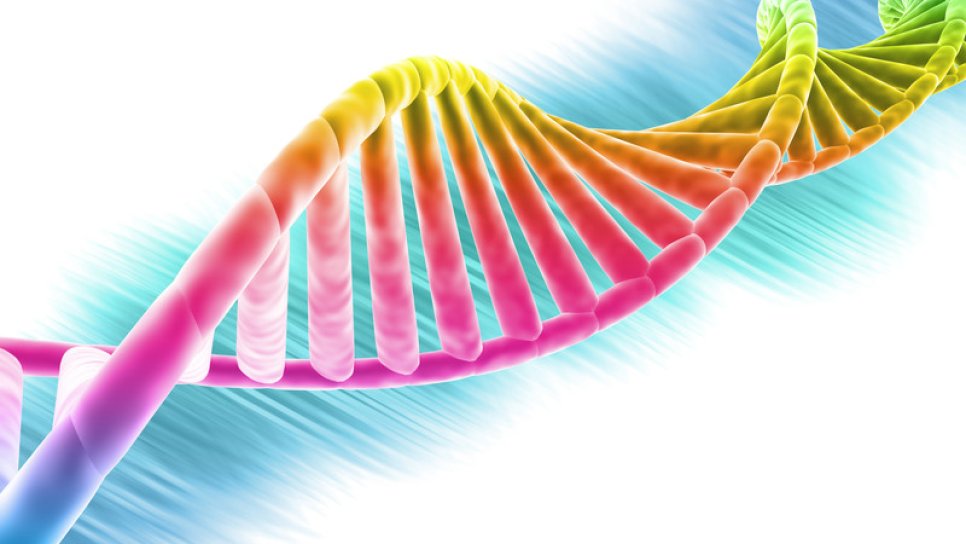 İnsan moleküler genetiği ve genomiği – Önemli gelişmeler ve heyecan verici olasılıklar