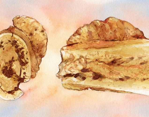 İnsan Soyunda Kaydedilen En Eski Kanser: 1.7 Milyon Yıl