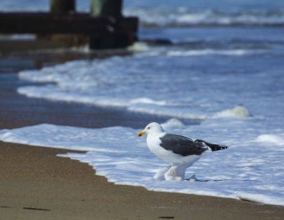 İyot eksikliği nedir? İyot eksikliğinin belirtileri, tedavisi ve meme kanseriyle ilişkisi