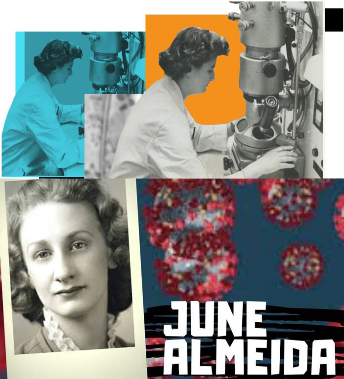 June Almeida, die Wissenschaftlerin, die das Coronavirus entdeckte